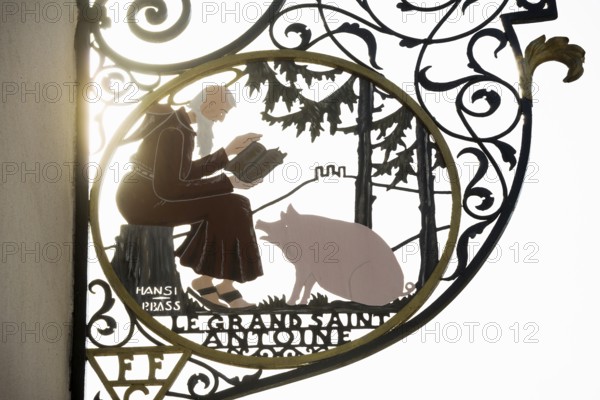 Nose sign of a butcher shop, old town, Colmar, Alsace, France