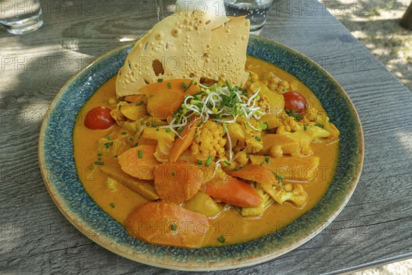 Asian cuisine, mixed vegetables, carrots, cauliflower, bamboo, cherry tomatoes, curry sauce, sprouts, vegan, vegetarian, healthy, main dish served on plate, food photography, Germany