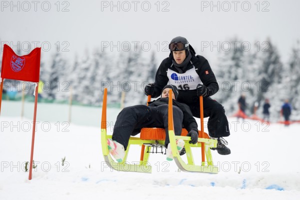 Horn sled racing, Waldau, Black Forest, Baden-Württemberg, Germany