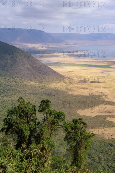 View of Ngorongoro Crater, Crater Viewpoint, Forest and Savanna Landscape, Ngorongoro Conservation Area, Tanzania