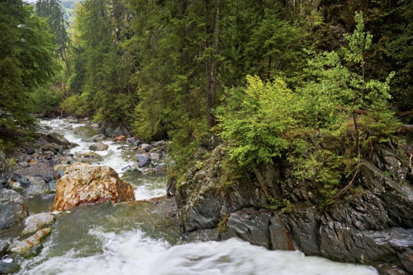 Diosaz mountain river in the gorge, Gorges de la Diosaz, Les Houches, Chamonix-Mont-Blanc, Haute-Savoie, France