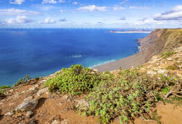 Castillejo viewpoint, view from the Risco de Famara cliffs to the coast and the sea with the Famara beach, Playa de Famara, Lanzarote, Canary Islands, Spain