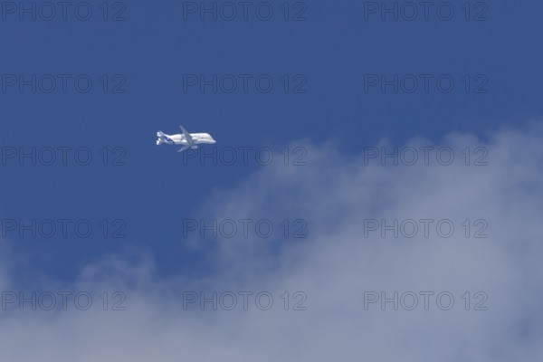Airbus A330-743L Beluga XL cargo jet aircraft flying in a blue sky with white clouds, England, United Kingdom
