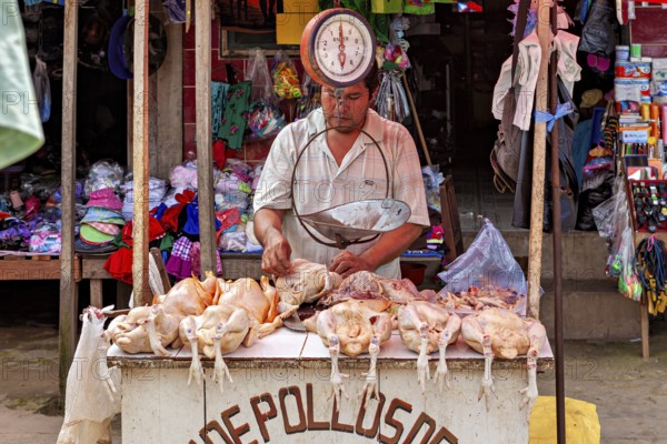 Man weighs poultry at a market stand with an old scale, The Rurrenabaque market in Bolivia