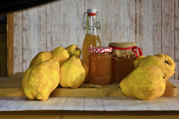 Still life with quinces, homemade quince jelly and quince liqueur, autumn, Germany