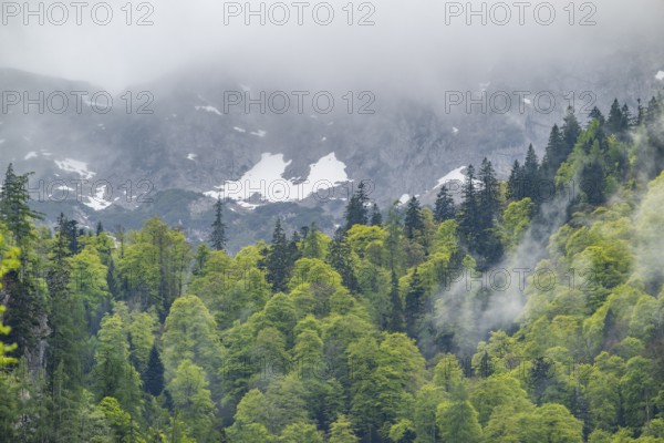 View into the mountains next to Lake Offensee on a rainy day in spring, Salzkammergut, Austria, Europe, Salzkammergut, Austria, Europe