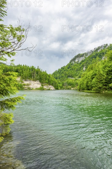 Landscape of Lake Elisabethsee on a rainy day in spring, Austria