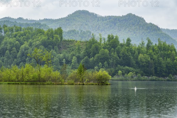 Landscape of Lake Almsee on a rainy day in spring, Salzkammergut, Austria