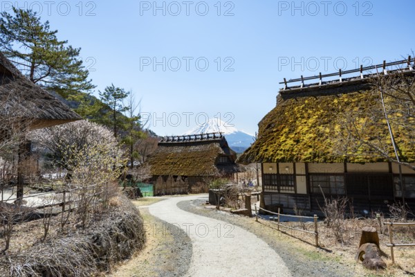 Iyashinosato open-air museum, old Japanese village with traditional houses, at the back volcano Mt. Fuji, Fujikawaguchiko, Saiko, Japón