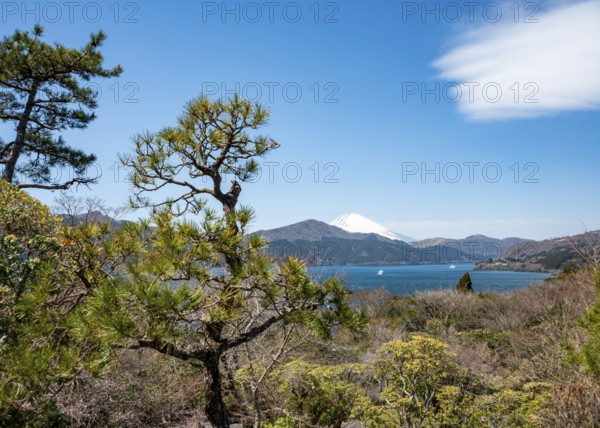 View of Lake Ashi with Mount Fuji volcano, Benten-no-hana Tenbodai viewpoint, Hakone Park, Hakone, Japan