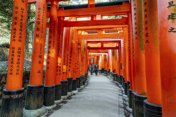 Visitors on a journey through hundreds of red traditional torii gates, Fushimi Inari-taisha, Shinto shrine, long exposure, motion blur, Fushimi Inari-taisha Okusha Hohaisho, Kyoto, Japan