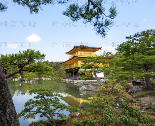 Golden Pavilion reflected in pond, Japanese garden, Golden Pavilion Temple, Kinkaku-ji reliquary, Buddhist temple complex, Kyoto, Japan
