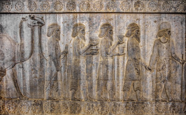 Relief detail of the delegation of peoples bringing gifts to Darius on the stairs of the Apadana Palace, Persepolis