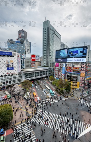 Modern houses with colorful neon signs and large road intersection, Shibuya Crossing from above, crowd at crossroads with crosswalks, Shibuya, Tokyo, Japan