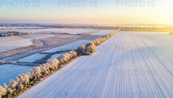 Bird Eye Perspective of Frost Covered Farmland. Seasonal Agricultural Scenery, winter and autumn scene, blue sky with golden light at sunrise, AI generated