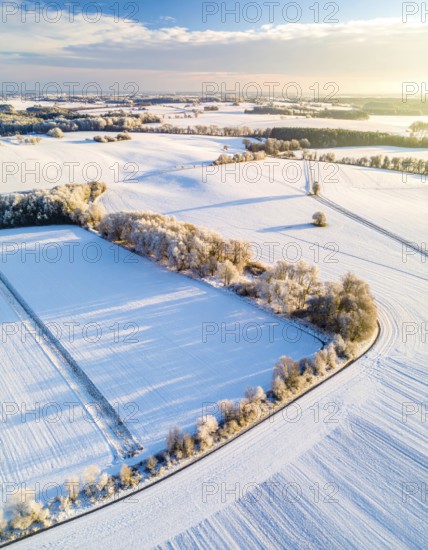 Bird Eye Perspective of Frost Covered Farmland. Seasonal Agricultural Scenery, winter and autumn scene, blue sky with golden light at sunrise, AI generated