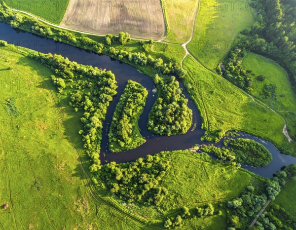 Ecology and environment concept. Green wilderness nature from above. Aerial view on meandering river landscape with trees and meadows. Healthy nature with tranquil atmosphere, AI generated