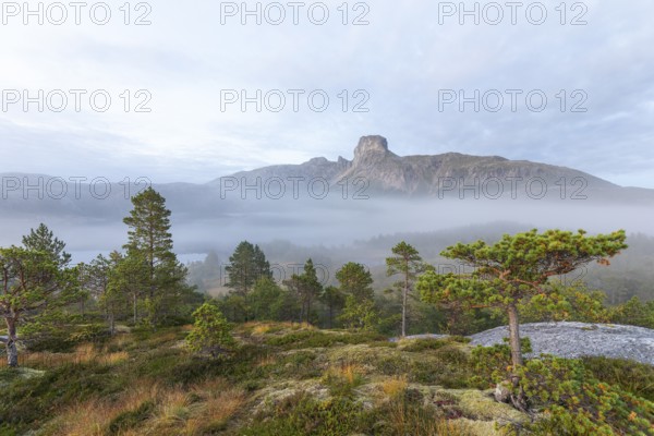 Magical morning fog on Steigtindvatnet in front of the majestic Steigtinden in Norway near Bodø