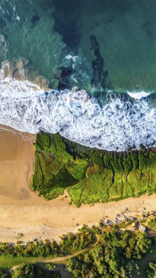 Green algae on the sandy shore of an ocean. Fascinating phenomenon of wild coastline with green plants, white sands, stone, blue water and cliffs, Aerial view of a beautiful abstract unreal and textured landscape, AI generated