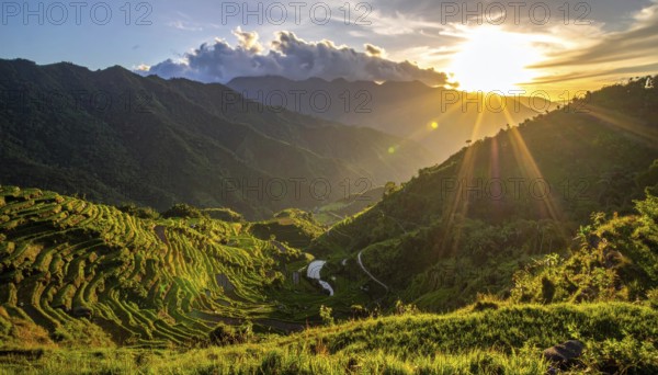 Early morning light bathes Philippines rice terraces cascading down mountain slopes, beautiful golden light, AI generated
