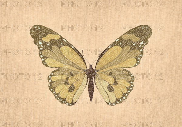 Mosaic art butterfly vector composition