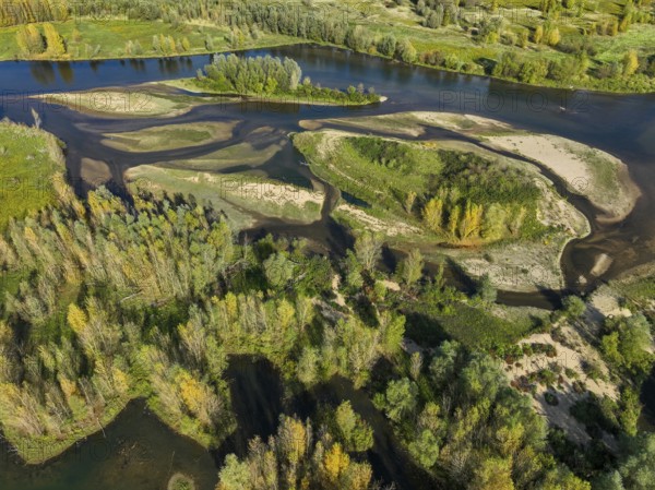 Wesel, Lower Rhine, North Rhine-Westphalia, Germany - autumn on the Lippe, trees with colorful autumn leaves in the restored river floodplain area of Büdericher Insel above the mouth of the Lippe into the Rhine, Lippe estuary nature reserve