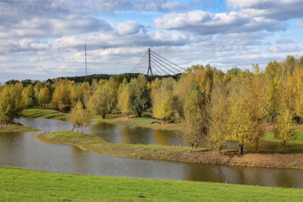 Wesel, Lower Rhine, North Rhine-Westphalia, Germany - autumn on the Lippe, trees with colorful autumn leaves in the restored river floodplain area of Büdericher Insel above the mouth of the Lippe into the Rhine, Lippe estuary nature reserve, in the back the Lower Rhine bridge Wesel
