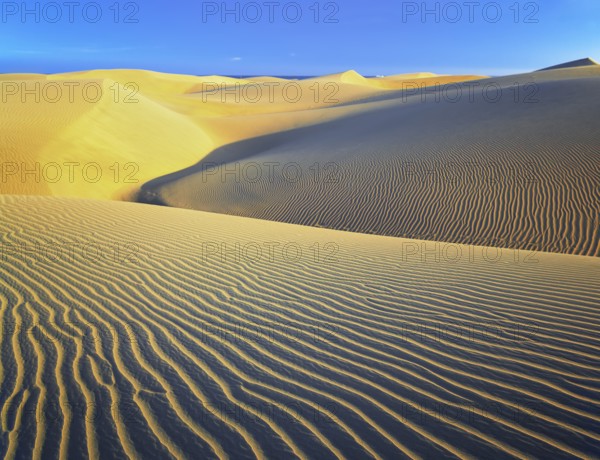 Sand dunes, Maspalomas, Playa del Ingles, Gran Canaria, Canary Islands, Spain