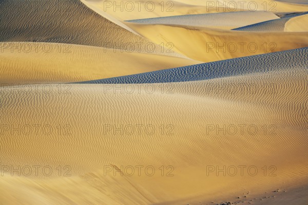 Sand dunes, Maspalomas, Playa del Ingles, Gran Canaria, Canary Islands, Spain