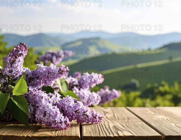 Beautiful Spring Lilacs Bloom Over Wooden Table with Rolling Hills in Background, sunrise at horizon, AI generated