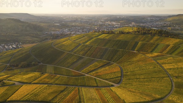Golden autumn over the vineyards of Weinstadt Beutelsbach, Baden-Württemberg, Germany