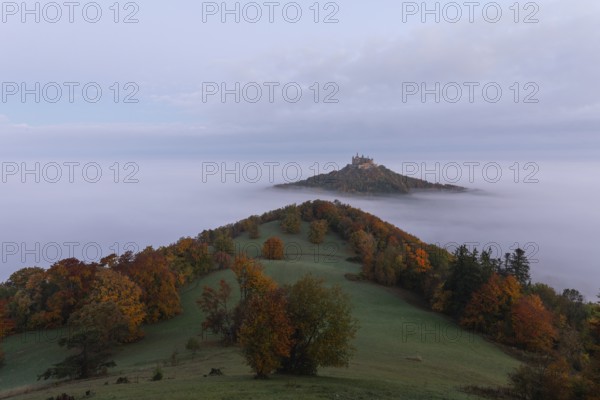 Hohenzollern Castle in a sea of fog at sunrise, autumn in the Swabian Jura