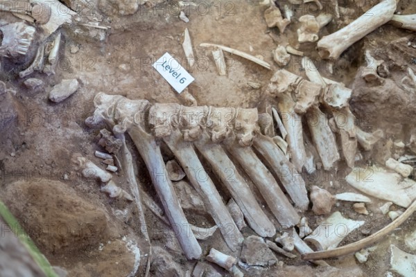 Beulah, Wyoming - The Vore Buffalo Jump, a sinkhole used by Plains Indians as a trap for bison from about 1550 through 1800. Archaeologists have uncovered thousands of bones, though only about 10 percent of the site has been excavated