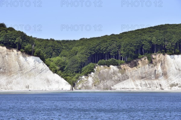 Chalk coast at Jasmund National Park on Rügen, Mecklenburg-Western Pomerania, Germany