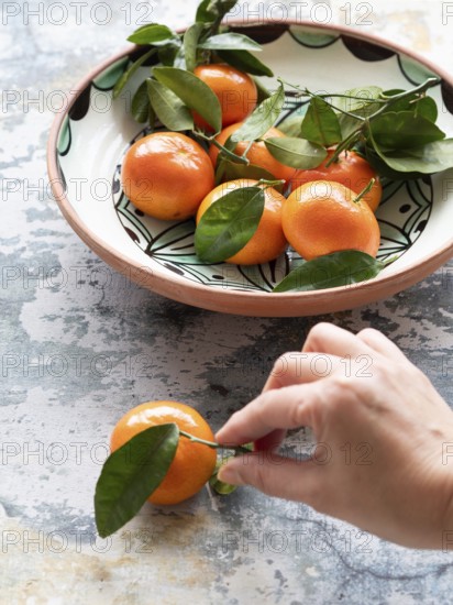 Fresh tangerines with leaves are being picked up from a ceramic bowl on a textured surface