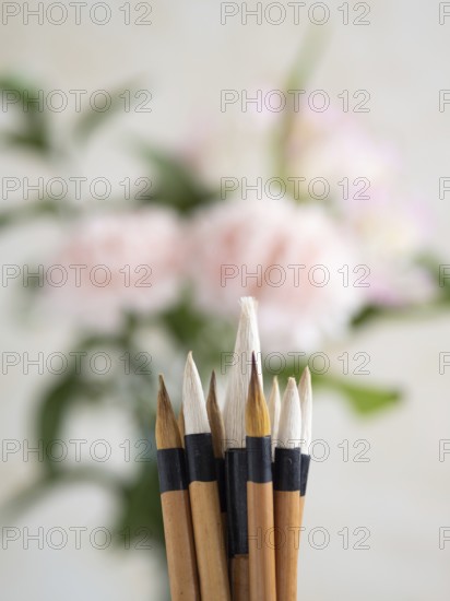 Close-up of chinese calligraphy brushes with pink carnations blurred in the background, creating a tranquil artistic scene