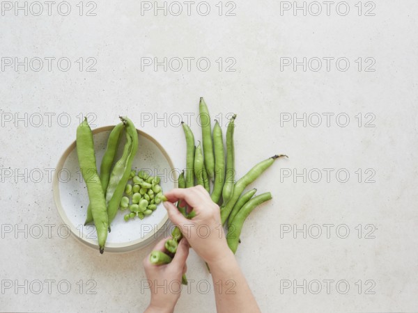 Hands shelling fresh broad beans, also known as fava beans, on a kitchen counter, ready for a healthy and delicious vegetarian meal