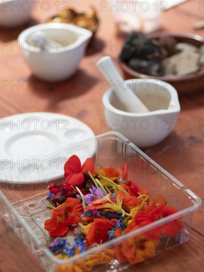 Colorful flowers and vegetables are being prepared for creating natural inks and pigments in a painting workshop