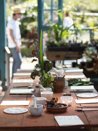 Workshop table with mortars, pestles, brushes, paper and natural pigments, ready for creating inks and paints from flowers and vegetables