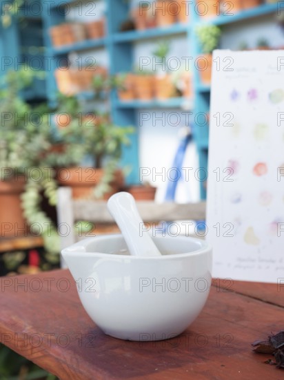 White mortar and pestle on wooden table with color chart and blurred background of plants on shelves during inks and pigments workshop