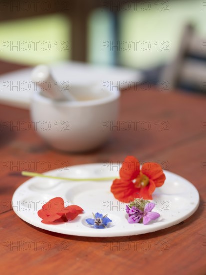 Fresh flowers and vegetables arranged on a palette, ready for preparing natural inks and pigments, with a mortar and pestle in the background