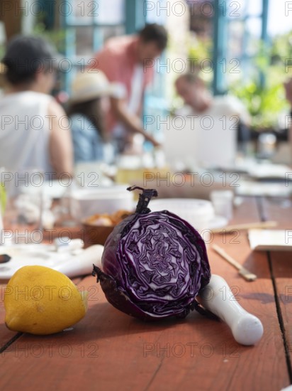 Artists creating natural inks and pigments using red cabbage, lemon and other organic materials during a workshop