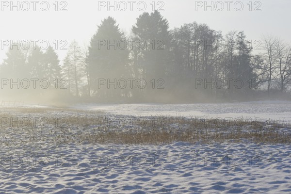 Winterlandschaft, aufsteigender Bodennebel im Licht der Morgensonne, Nordrhein-Westfalen, Deutschland