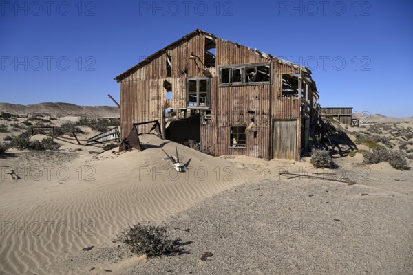Schädel einer Oryx-Altilope (Oryx gazella) vor einer Ruine der ehemaligen Diamantenstadt Pomona, Diamentensperrgebiet, bei Lüderitz, Region Karas, Namibia