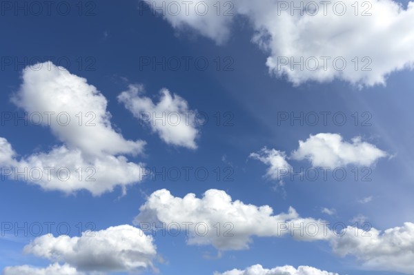 White light-coloured cumulus clouds Cumulus clouds Dense water clouds under a blue sky, international