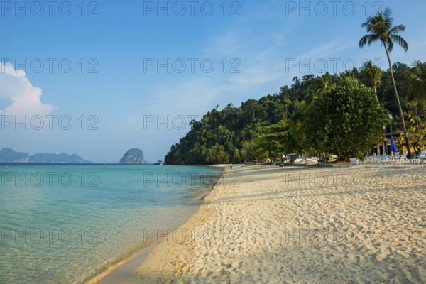 White sandy beach and coconut palms, Sunrise Beach, Koh Great white shark, Ko Ngai, Krabi Province, Trang, Southern Thailand, Andaman Sea, Thailand