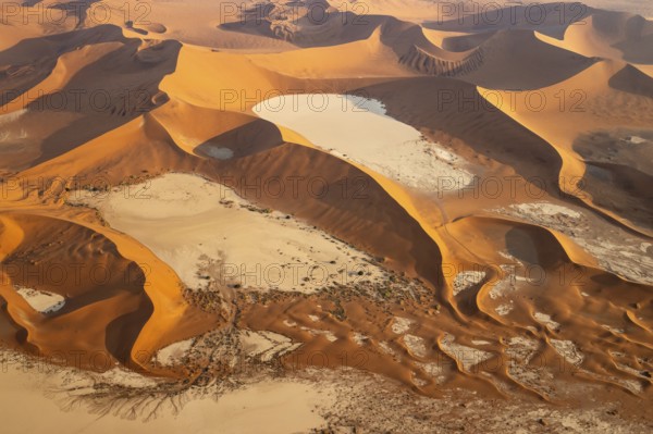 Sand dunes and dry pans in the Namib Desert. In the evening. Aerial view. Namib-Naukluft Park, Namibia