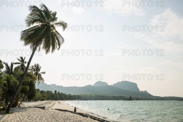 White sandy beach and coconut palms, Pearl Beach, Koh Mook, Trang Province, Southern Thailand, Andaman Sea, Thailand