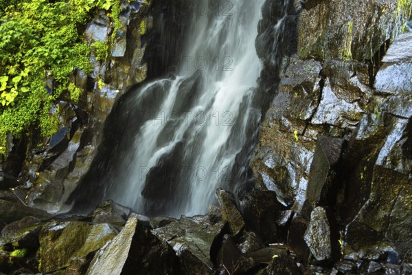 Vaucoux waterfall cascades gracefully over dark rocks, surrounded by lush greenery, Auvergne Volcanoes Regional Park, Puy de Dome., Auvergne-Rhone-Alpes, France