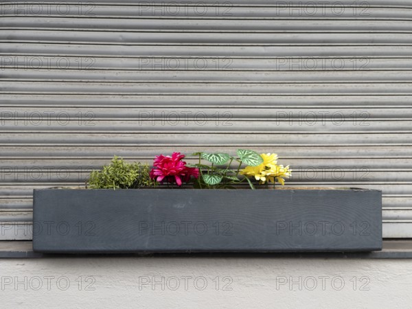 Flower box with artificial colorful flowers in front of closed shutter, Wuppertal, Germany